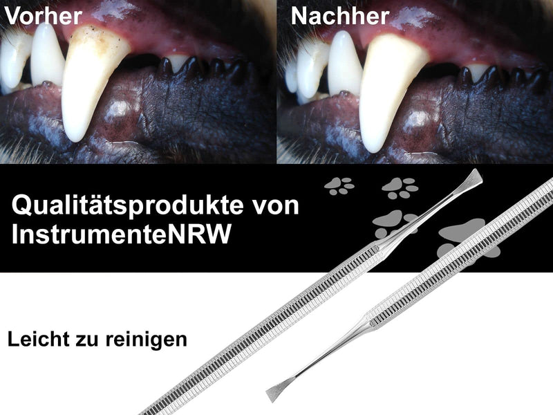 Dog Tartar Plaque Remover Scratch Cleaner Scraper Wing 2-Sided Tartar Remover Teeth Cleaner for Pets Made of Stainless Steel Dental Care Tartar Scraper Type 1 - PawsPlanet Australia