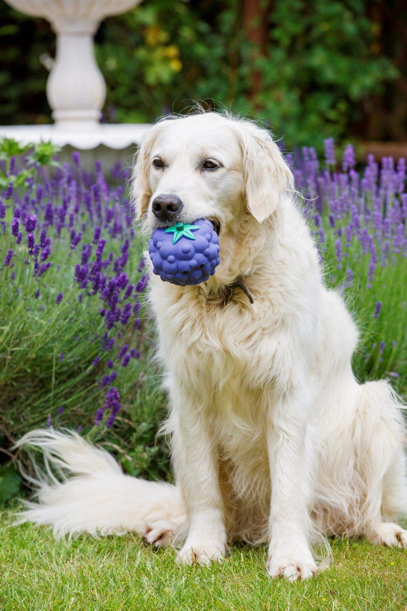 Petface Latex Blackberry Soft Chew Dog Toy, Large - PawsPlanet Australia