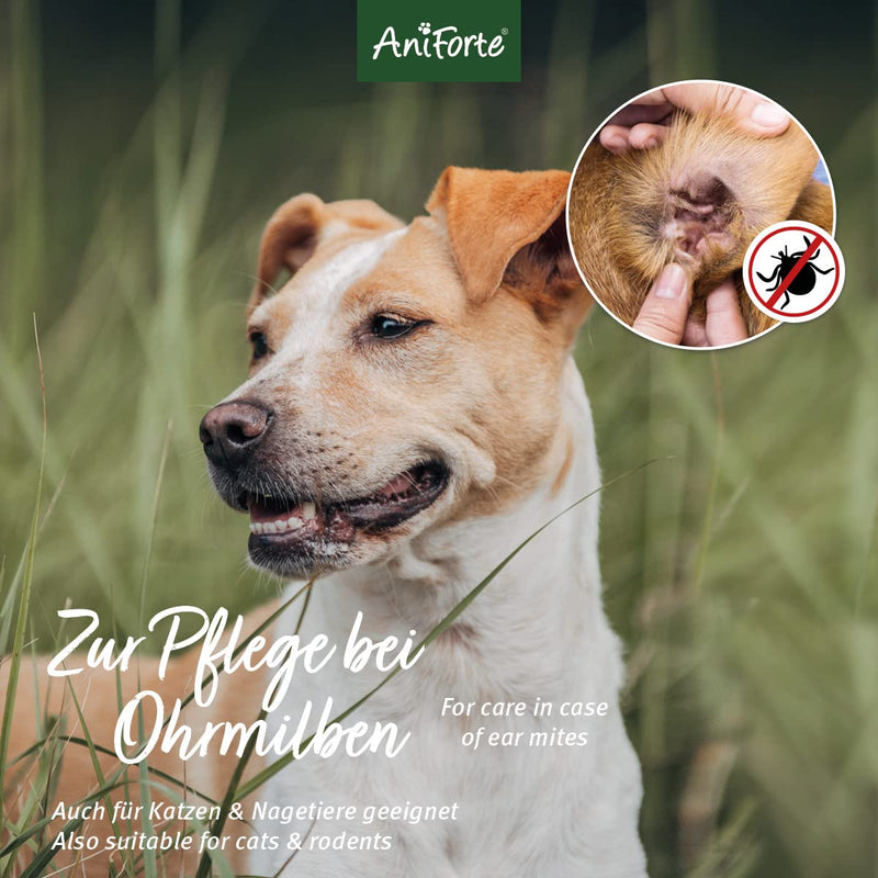 AniForte Ear Mite Oil for Dogs, Cats & Rodents 50ml - Ear drops for itching & mites, remedy for ear mites, ear care & ear cleaning 50 ml - PawsPlanet Australia