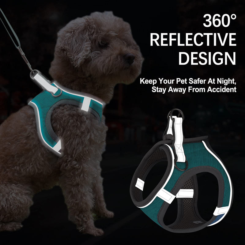 Small Dog Harness, Puppy Harness, Soft Dog Harness and Leash Set with a Reflective Collar for Small Medium Dogs,Comfortable and Reflective Dog Vest Harness Baby Blue XX-Small - PawsPlanet Australia