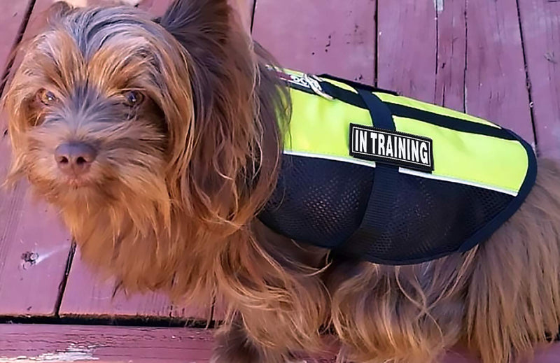 [Australia] - Dogline in Training Patches for Harness and Vest Removable 3D Rubber Patches with Hook Backing for Small Medium or Large Working Dogs 1.5" x 4" - Two Patches 