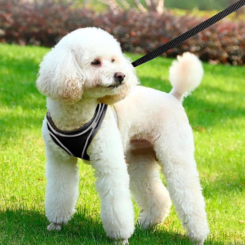 XUTONG 15 m towing leash for dogs, nylon dog leash with recall training leash, black long dog leash, rope training leash, waterproof, for large to small dogs, robust dog leash - PawsPlanet Australia