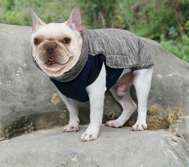 Komate Dog Winter Warm Coat Pet Windproof Jackets for Cold Autumn and Winter Reversible Puppy Clothes for Small Medium Large dogs with 7 sizes from XS to 3XL (M (Chest 50-58cm), Gray) M (Chest 50-58cm) - PawsPlanet Australia