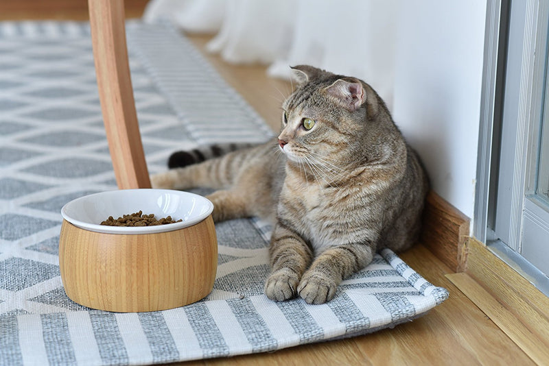 [Australia] - TigerLi Raised Cat Bowl 6" with Nature Bamboo Stand, Beautiful and Functional Design Pet Feeder Ceramic 