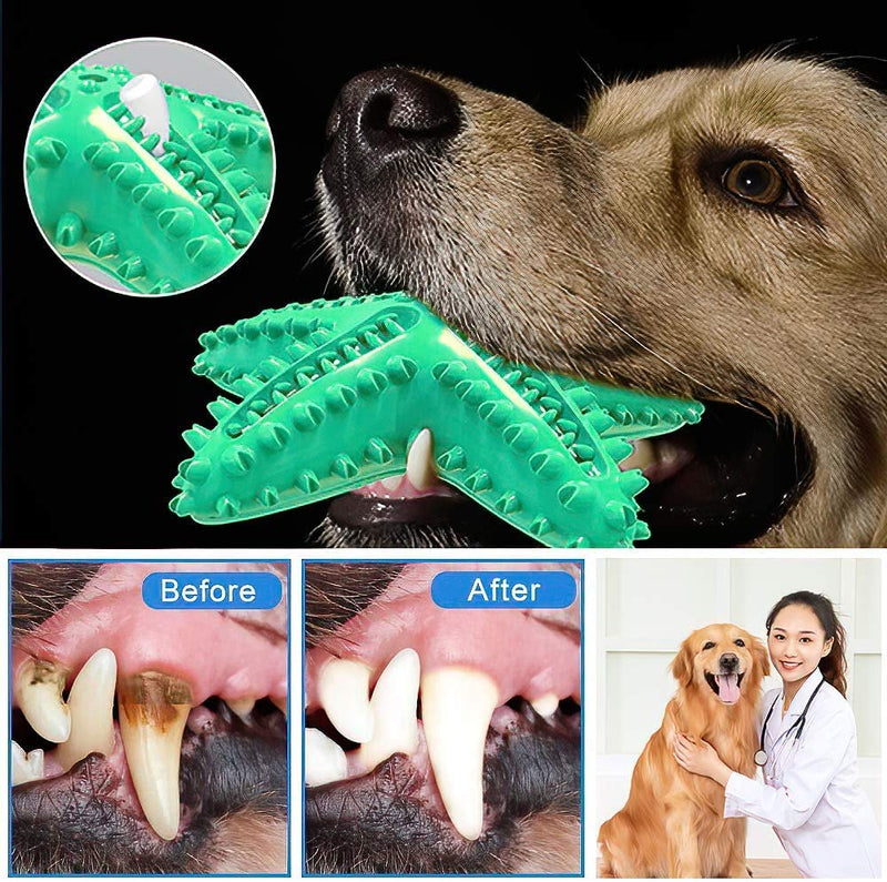 Pet Teething Squeaky Toy Dog Toothbrush Starfish Shaped, Indestructible Starfish Sound Dog Chew Toy for Small to Medium Dogs, Large Dogs, Puppies, Dental Cleaning Toy green - PawsPlanet Australia