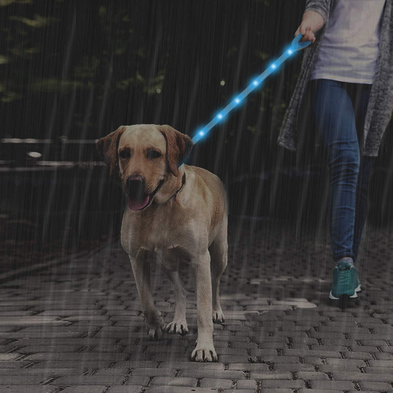 Dog Leash Light LED Reflective Light Up Leash With USB Rechargeable 120cm Pet Led Leash Reflective Night Safety Led Dog Leash Strip Waterproof Threads for Small Medium & Large Dogs Blue - PawsPlanet Australia