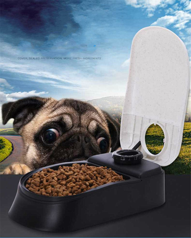 PAWISE Automatic Cat Feeders Automatic Dog Feeder,Dog / Cat Food Dispenser 1.5 Cup, Schedule Meal or Treat, with 48-Hour Timer 1.5 Cup-1 Meal - PawsPlanet Australia