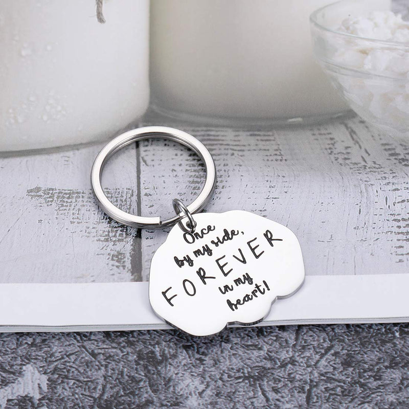 [Australia] - Pet Memorial Gifts Keychain for Pet Lovers Women Men Loss of Pet Jewelry Sympathy Condolences Key Ring for Pet Owner Family Friends Girls Boys Teens Remembrance Once by My Side Forever in My Heart 