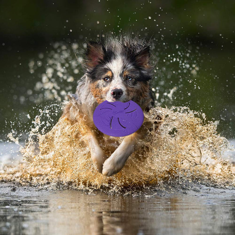 HONGEZEY Indestructible Dog Flying Discs, Interactive Dog Flyer Toys, Soft Lightweight Dog Catch and Fetch Toys for Medium Large Dogs, Floats in Water & Safe on Teeth Small Purple - PawsPlanet Australia