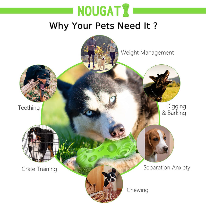 NOUGAT Tough Dog Toys, Squeaky Dog Toys for Medium Large Dogs, Natural Rubber, Beef Flavor Green - PawsPlanet Australia