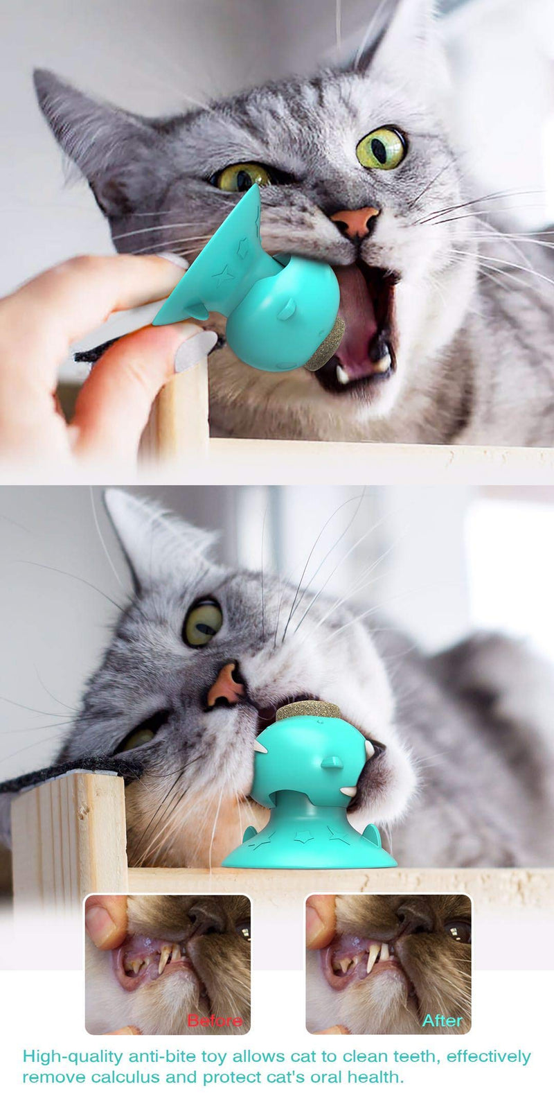 [Australia] - CATPAT Catnip Ball Toy - Refillable Cat Mint Toy with Suction Up for Teeth Cleaning Chewing Playing - Kitten Kitty Lick Treat Toy (Natural Rubber Bite Resistant) 