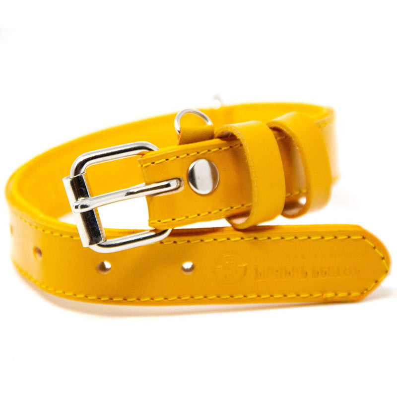 [Australia] - Logical Leather Dog Collar - Best Full Grain Padded Leather Collars S - Fits 11-13 in. Neck Yellow 