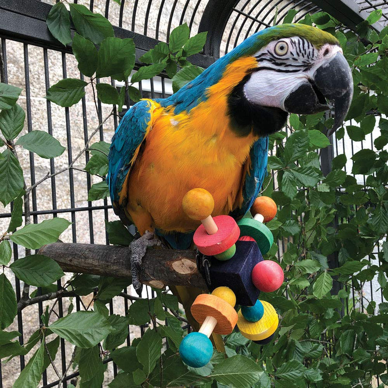 Colourful Wooden Spinning Parrot Perch | Twirler Toy | by Northern Parrots | Suitable for African Grey Parrots - Amazons - Cockatoos - Eclectus Parrots - Large Conures - Large or Small Macaws | 35cm long (approx. 14 inches) - PawsPlanet Australia