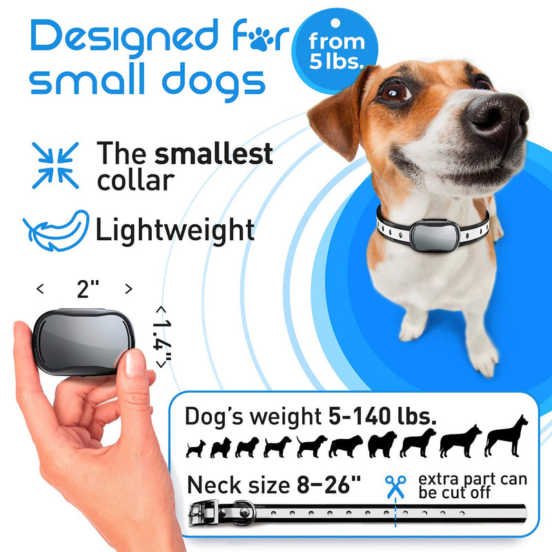 Enrivik Small Dog Shock Collar with Remote - Small Size Dog Training Collar for Small Dogs 5-15lbs - Waterproof & 1000 Feet Range - PawsPlanet Australia