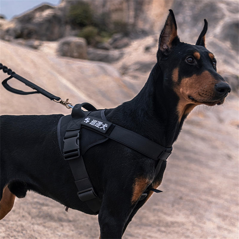 EXCELLENT ELITE SPANKER Dog Harness Tactical Dog Harness Training Service Dog Vest Working Dog Harness Adjustable Dog Vest for Medium and Large Dogs (Brown-S) S Brown - PawsPlanet Australia