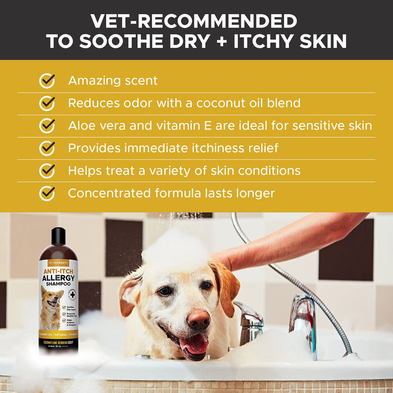 PetHonesty Anti-Itch Allergy Shampoo for Dogs and Cats - Reduce Itching, Shedding, Hot Spots, Moisturizing and Hydrating Essential Oils - PawsPlanet Australia