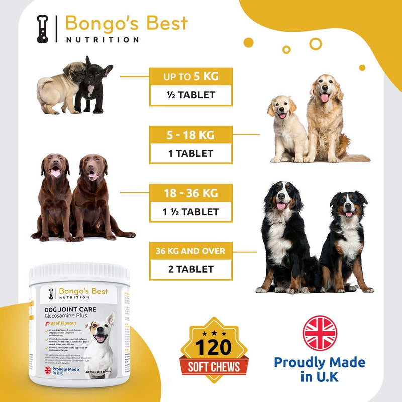 Mayfair Nutrition Dog Joint Care Supplements by Bongo’s Best - Premium Glucosamine & Green Lipped Joint Supplements for Dogs and Ages - Young or Old, Large or Small - PawsPlanet Australia