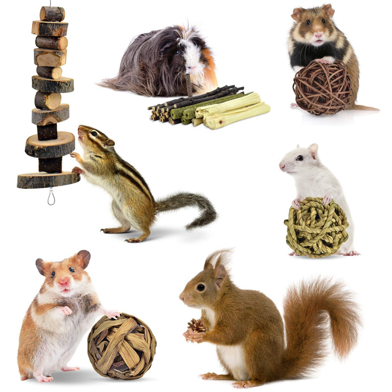 ERKOON Rabbit Accessories, 8 Types of Rabbit Chew Toys, Rabbits Employment Small Animals Natural Timothy Hay Sticks Apple Sticks Dental Care Treats Chinchilla Guinea Pigs Gerbils - PawsPlanet Australia