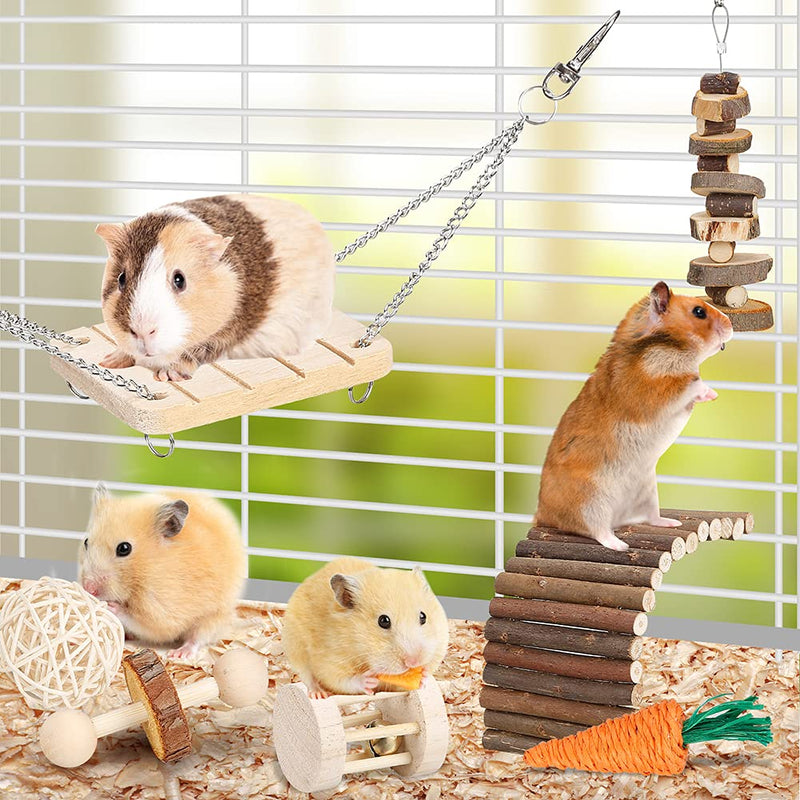 BBjinronjy Hamster Chew Toy Set for Small Animals Molar Toys Dental Care Wooden Accessories for Guinea Pigs Chinchillas Gerbils Mice Rats Mouse - PawsPlanet Australia