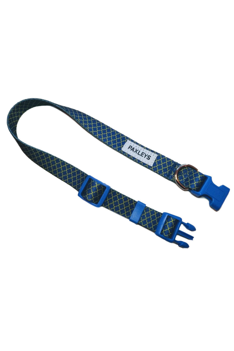 Paxleys Blue Gold Soft Comfortable Deco Dog Puppy Collar, Adjustable Designer Waterproof Accessory For Large and Extra Large Dogs (Neck 40cm-60cm) - PawsPlanet Australia