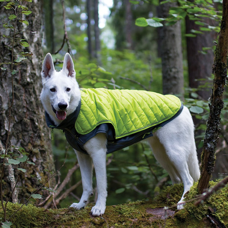 [Australia] - Outward Hound Telluride All Weather Thinsulate Warm Two Layered Coat for Dogs MD 