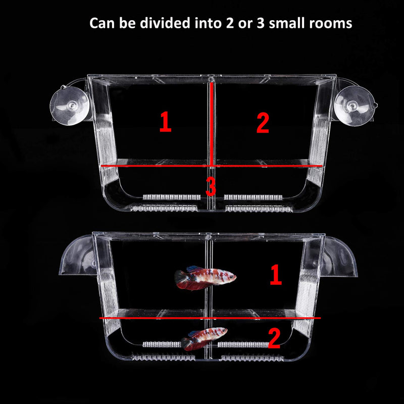 Qguai Fish Breeding Box, Perfect Fish Tank Divider Acclimation Box for Aggressive Fishes, Nursery for Injured, Hatchery Incubator Breeder Box for Shrimp cicilids Eggs Baby Fishes M (8.3*3.7*3.9") - PawsPlanet Australia