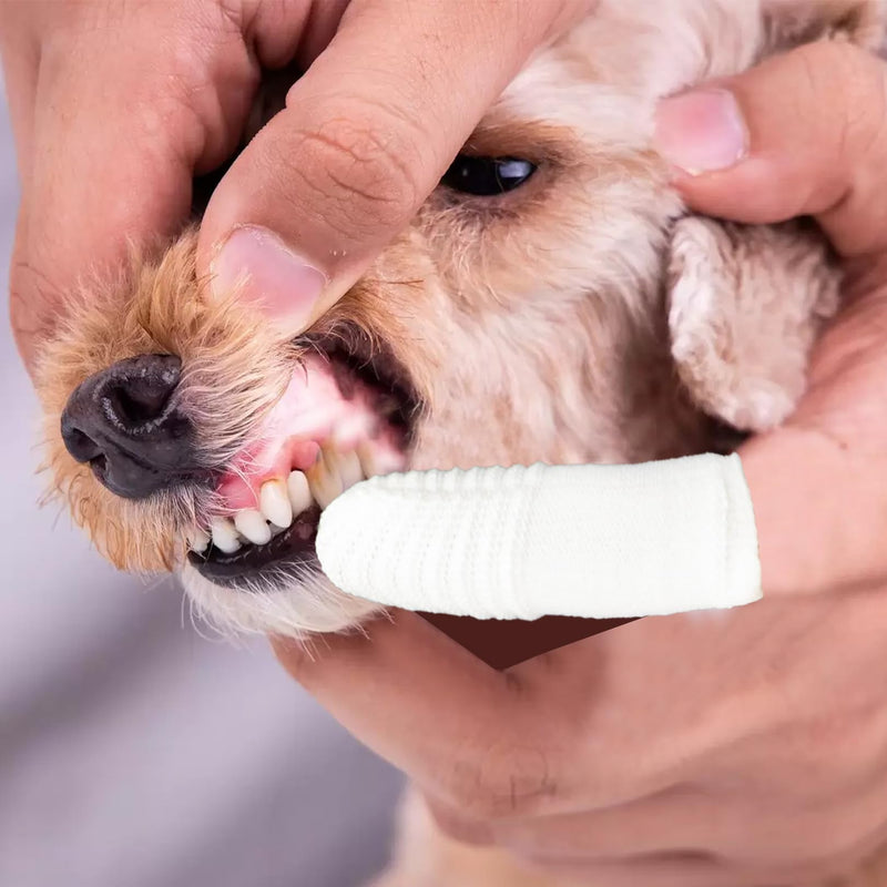 Dog Toothbrush Fingerling, Pack of 10 Pets Teeth Cleaning Toothbrush for Dogs Cats Dental Care, Pet Finger Toothbrush Reusable, Fingerling Dogs Dental Care Silicone Finger Toothbrush Set - PawsPlanet Australia