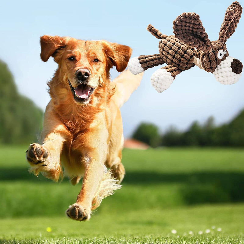 Pack of 3 dog toys, squeaky dog plush toy, dog toy plush animal dog toy for small medium, dog donkey, dog, sheep 3 pack - PawsPlanet Australia