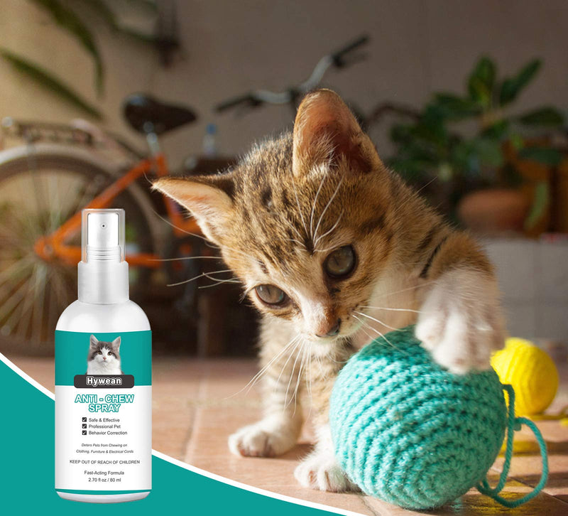 Hywean Stop Spray for Cat and Dog, Cat Scratching Training Spray - PawsPlanet Australia