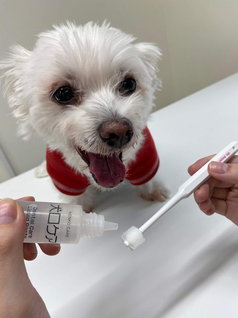 Toothbrush for dogs easy to use made in Japan Kenko care by Mind Up (Cylinder Head) - PawsPlanet Australia