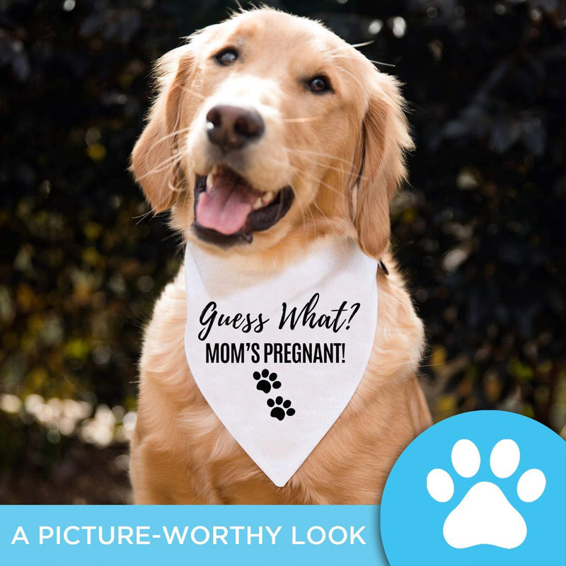 Pregnancy Announcement Dog Bandana - Guess What? My Mom is Pregnant Reveal Scarf - Washable Pet Accessories Made with Soft Cotton - Fits Small to Large Pups - Cute Guess What? Mom Is Pregnant - PawsPlanet Australia