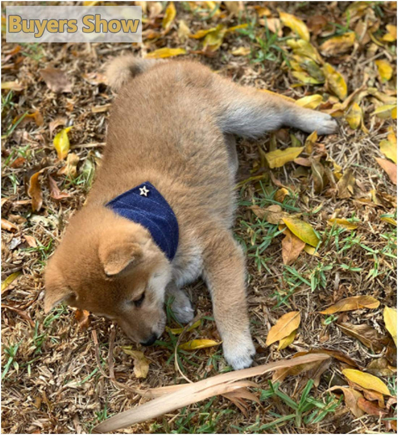 MayPaw Dog Bandana Collar, Cute British Style Soft Puppy Cats Leather Triangle Collar for X-Small Small Medium -Sized Pets M: 13.5-16"neck*0.6"wide dark blue - PawsPlanet Australia