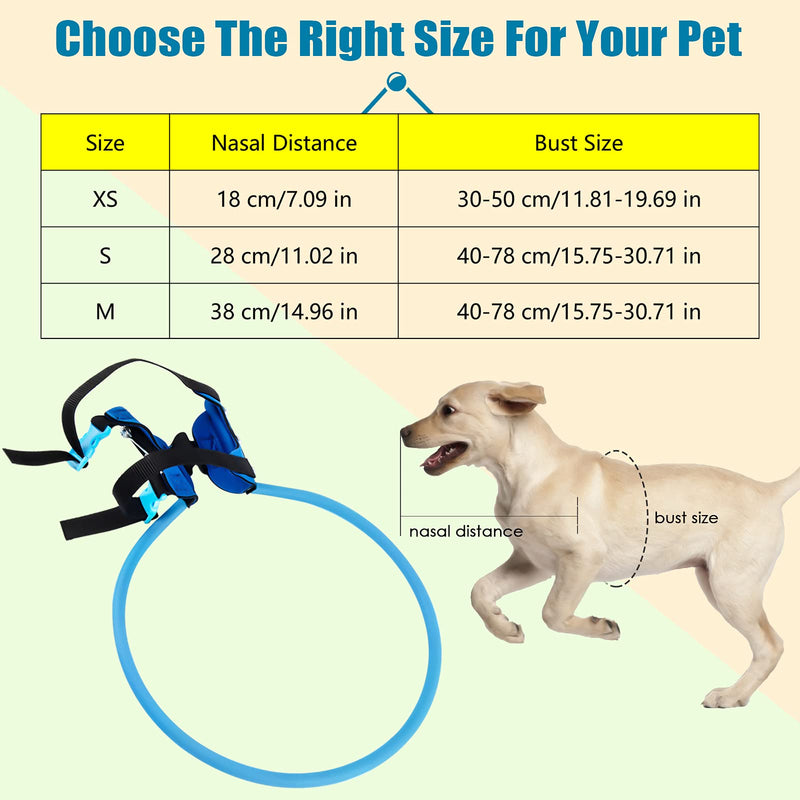 XIDAJIE Blind Dog Halo, Blind Dog Harness Guiding Device Adjustable Face Head Protection Circle Pet Anti-Collision Ring for Dogs Cats with Sick Eyes, Avoid Accidents & Build Confidence Blue XS - PawsPlanet Australia