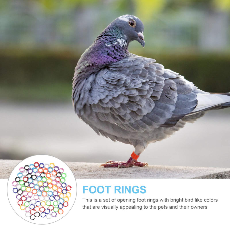 POPETPOP Birds Foot Rings Parrot Leg Bands Pigeons Identification Opening Foot Ring (Random Color) 100 Pcs - PawsPlanet Australia
