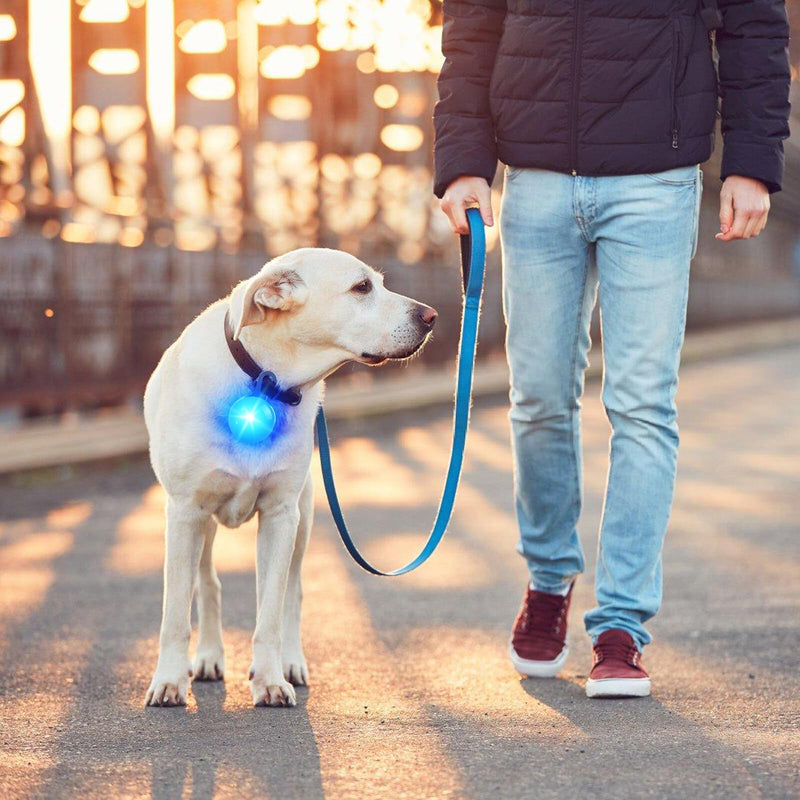 Pack of 7 dog light pendants, LED flashing light, dog collar pendant for dogs, cats, pet light collar with 3 flashing modes, safety light key chain for school bags, children, joggers - PawsPlanet Australia