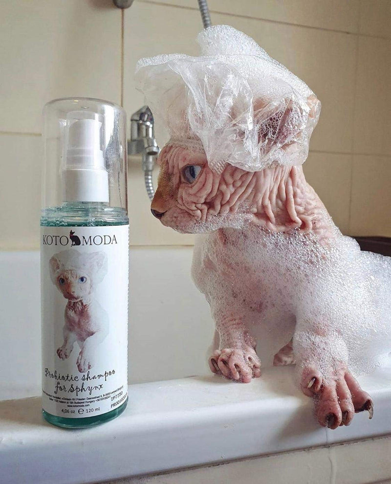 Kotomoda Probiotic shampoo for Sphynx Cats 120 ml - PawsPlanet Australia