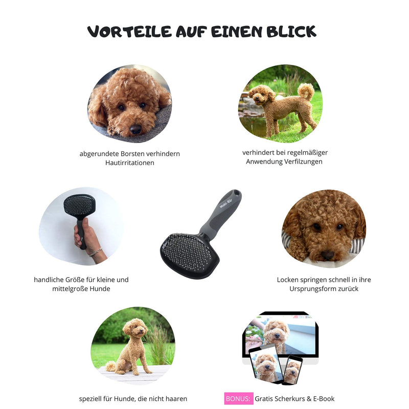 Moki Bear Soft Brush Dog Brush Poodle with Protective Knobs for Particularly Sensitive Animals I Ideal for Non-shedding Dogs I Small S (Pack of 1) - PawsPlanet Australia