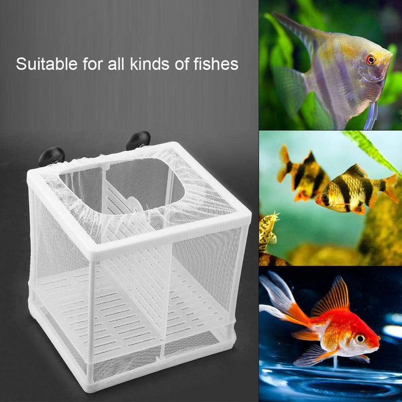 Net Breeder, Suspenable White Plastic Aquarium Tank Isolation Net Hatchery Equipment Which Suits for Fish Shrimp Breeder 6.2x6.2x5.5 inch - PawsPlanet Australia