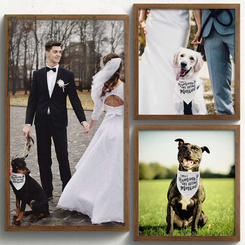 Engagement Gift, My Humans are Getting Married Dog Bandana, Wedding Photo Prop, Pet Scarf, Dog Engagement Announcement, Pet Accessories Black - PawsPlanet Australia