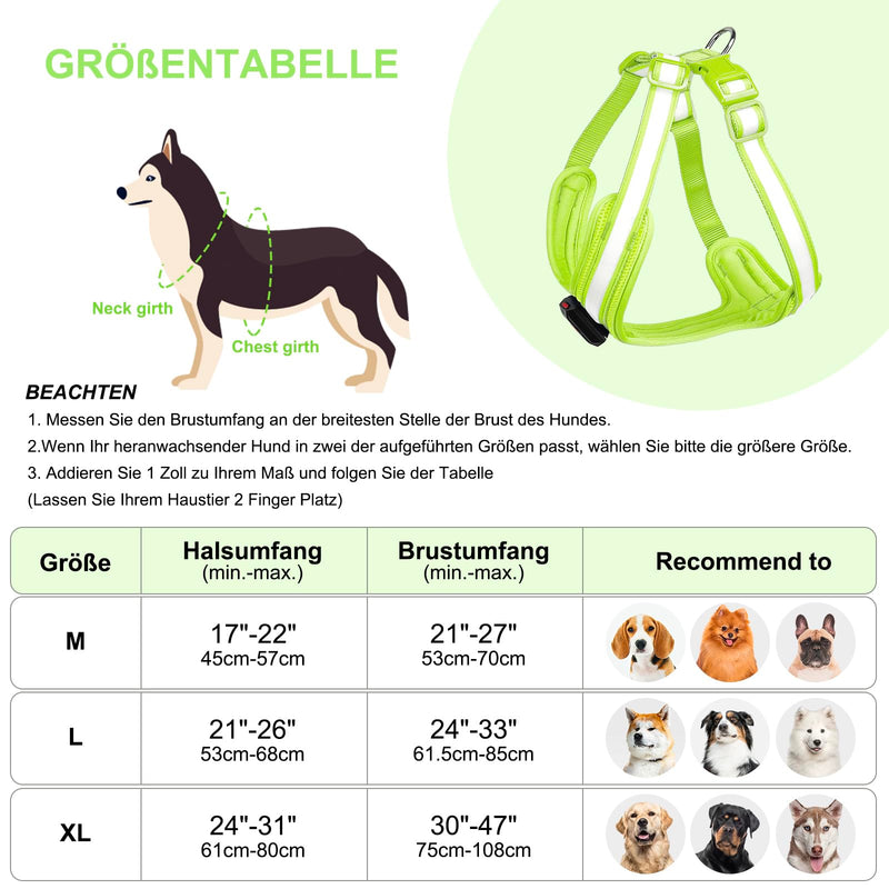 PZRLit Luminous Dog Harness, Luminous Harness for Dogs, Rechargeable, Luminous Dog Harness, LED, Luminous Harness for Dogs, Reflective with Light, Safety in the Dark-Green, Medium Green - PawsPlanet Australia