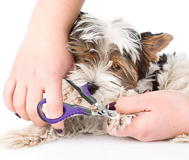 [Australia] - Hertzko Professional Pet Nail Scissors Sharp Stainless Steel Angled Blade for Easy Cutting - Suitable for Small Breed Animals - Dogs, Cats, Rabbits and Birds 