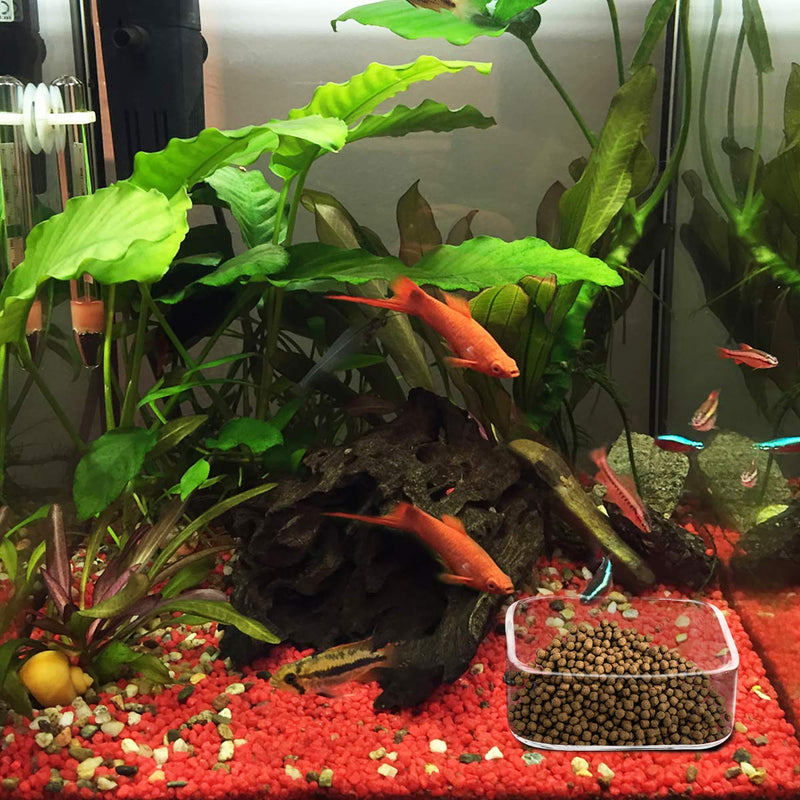 [Australia] - WEAVERBIRD Aquarium Shrimp Feeder Dish Fish Tank Feeding Bowls Glass Square Clear Dish Tray Plate 