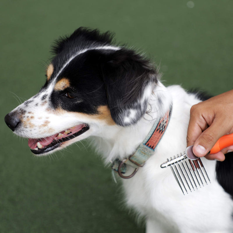 Benz Dog Grooming Tools Kit – Slicker Brush, Dematting Rake Tool & Metal Dog Comb, Pet Grooming Kit, Professional Dog Groom Supplies - PawsPlanet Australia