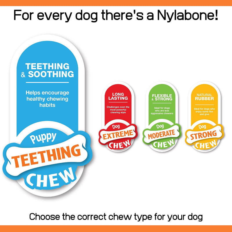 Nylabone Puppy Dog Teething Colour Change Freezer Bone Dog Chew Toy, Lamb & Apple Flavour, Small, for Puppies Up to 11 kg - PawsPlanet Australia