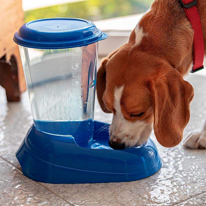 Ferplast Water Dispenser for Dogs and Cats NADIR Drinker 3 Litres for Small and Medium Sized Dogs, Transparent Tank With Lid, Sturdy Plastic, Non-Slip Bottom, 29,2 x 20,2 x h 28,8 cm White - PawsPlanet Australia