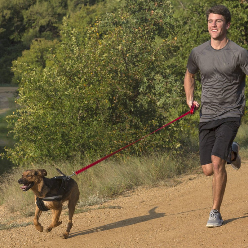 [Australia] - Head Tilt Comfort Grip Dog Leash, 6' 