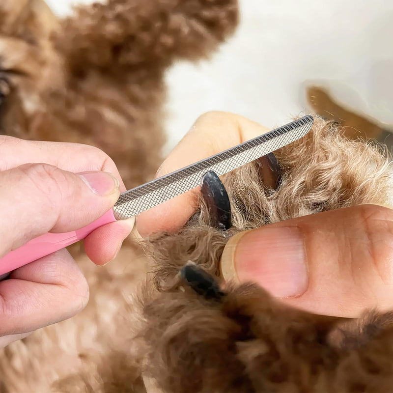 Leikedun Professional 2mm Hole Tapered Cat Nail Clipper Stainless Steel for Puppies, Rabbits, Birds and Small Animals with 2 Claw Files - PawsPlanet Australia