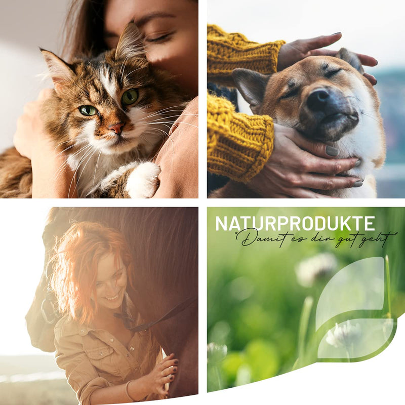 ReaVET Taurine for cats 100g - support of the cardiovascular system, taurine powder 100% pure, amino acids support defenses and cell metabolism - PawsPlanet Australia