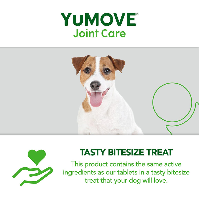 Lintbells YuMOVE Daily Bites For Young Dogs | Hip and Joint Supplement for Dogs to Support Active and Growing Joints for Dogs Aged Under 6 Years | 60 Chews, White 60 count - PawsPlanet Australia