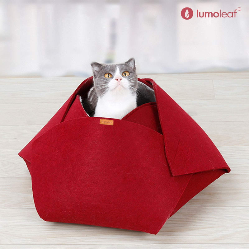 LumoLeaf No-Spill Cat Water Bowl + Cat Bed Cave, Indoor Accessories for Cats, Dogs and Puppies. - PawsPlanet Australia